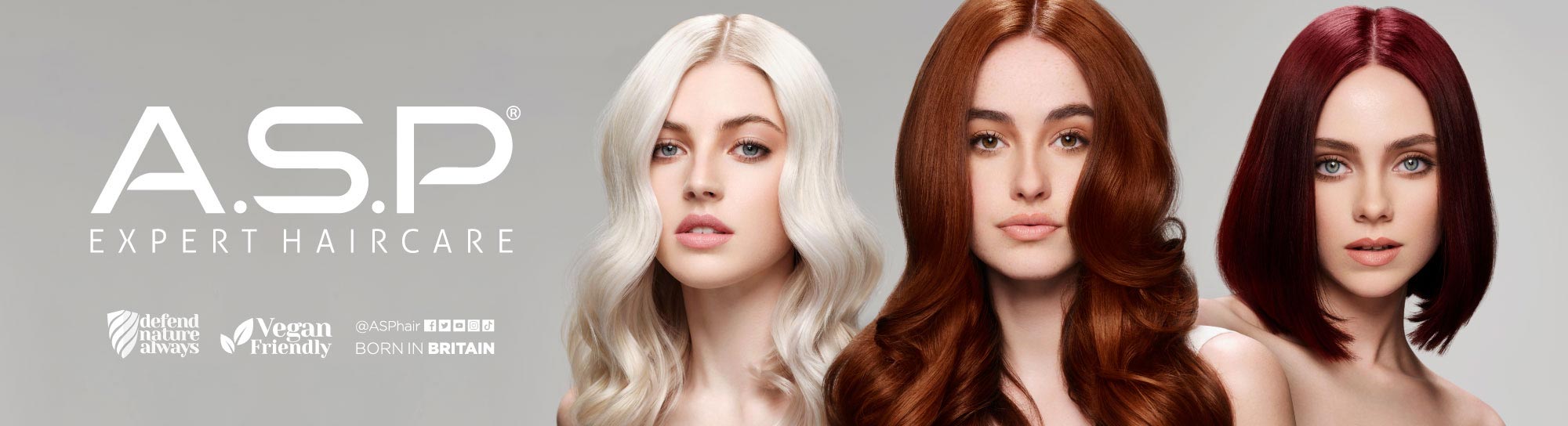 A.S.P Brand Banner