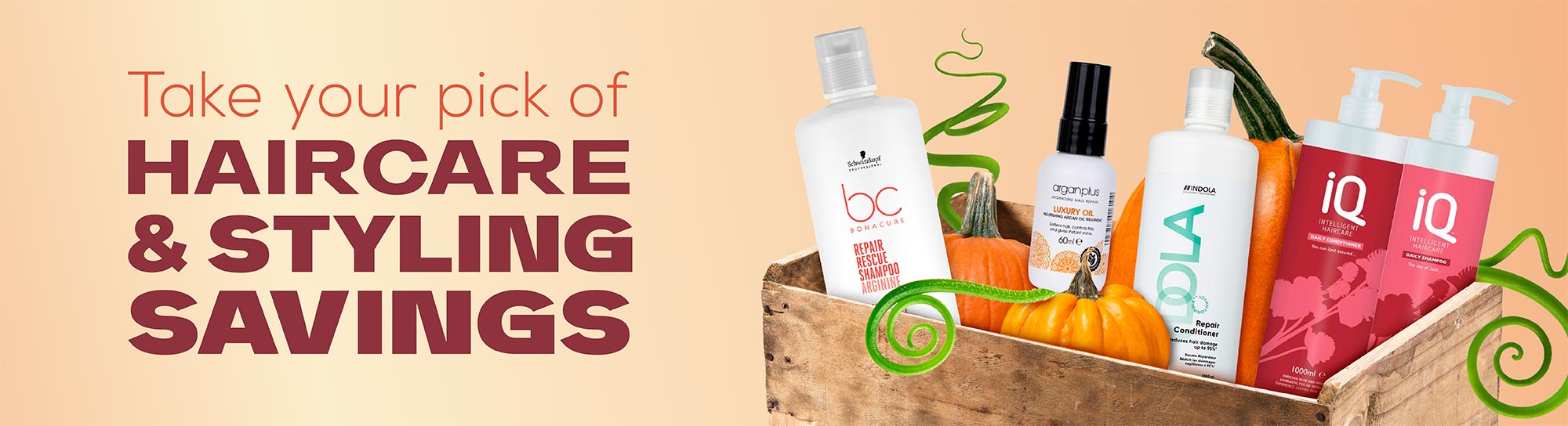 Haircare Offers