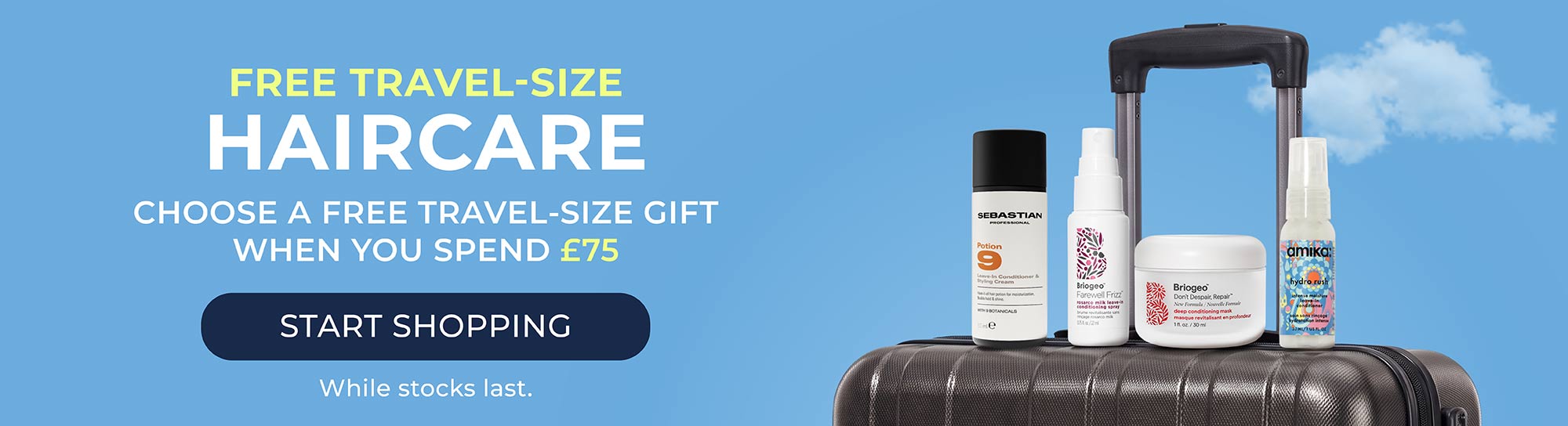 Premium Travel Minis Banner