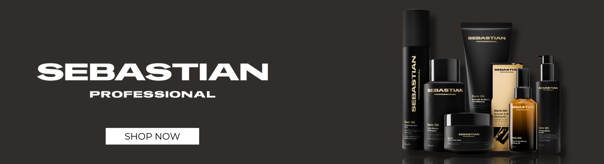 Sebastian Professional Launch Banner