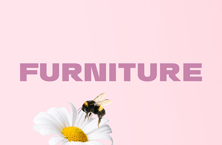 Furniture Offers