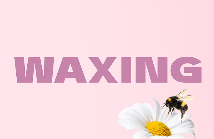 Waxing Offers