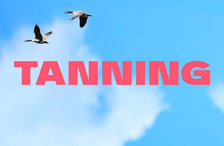 Training Offers