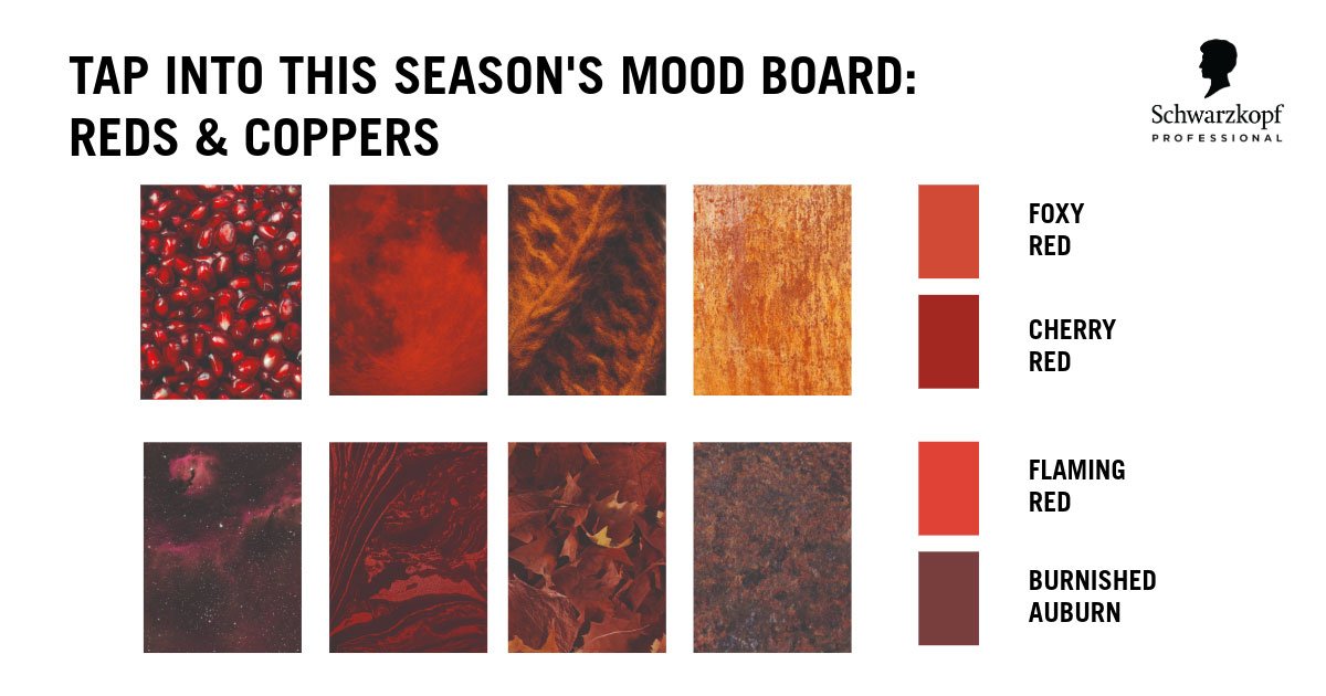Capital autum hair colour mood board