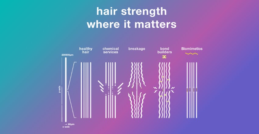 Hair diagram