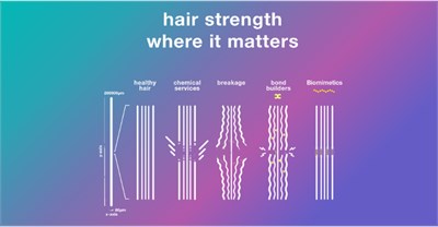 Hair diagram