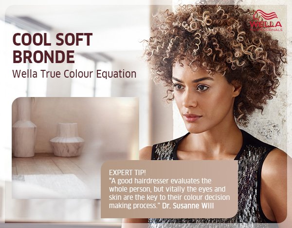 Cool Soft Bronde - Wella true colour equation