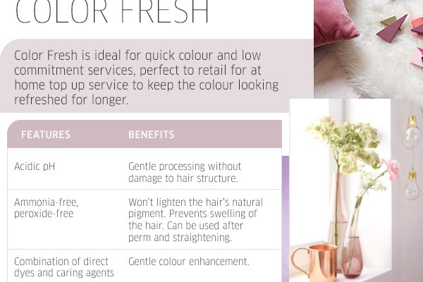 Working with Color Fresh - Color Fresh is ideal for quick colour and low commitment services, perfect to retail for at home top up service to keep the colour looking refreshed for longer.