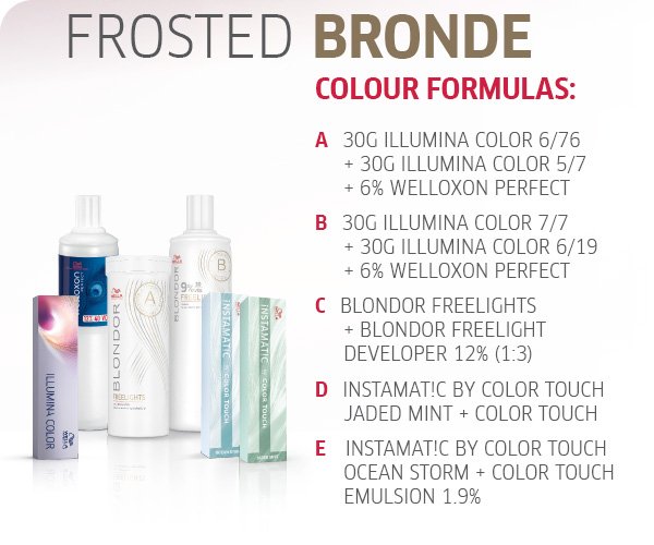frosted bronde colour formulas