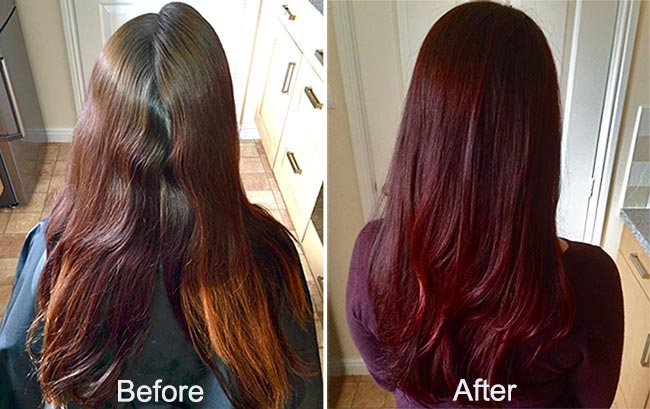 Paradyes Highlighting Hair Colour Kit Ruby Wine Price  Buy Online at  636 in India