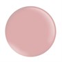 The Manicure Company Gel Polish Trial PackAlternative Image1