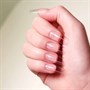 The Manicure Company Pro Press Square Medium 550pcAlternative Image3