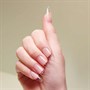 The Manicure Company Pro Press Medium Almond - Sizes 0-11Alternative Image3