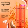 amika Normcore Signature Conditioner 1000mlAlternative Image3