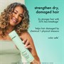 amika The Kure Strength Repair Shampoo 275mlAlternative Image1