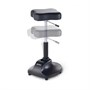 Takara Belmont Espoir Stool In BlackAlternative Image1