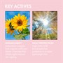 Ultrasun UV Face & Scalp Mist Sunscreen SPF 50+ 150mlAlternative Image3