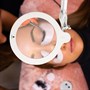 Daylight Magnifying Lamp XLAlternative Image1