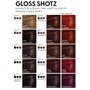 A.S.P Gloss Shotz 150mlAlternative Image1