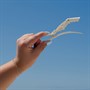 Framar Beach Bum Gator Clips Pk4Alternative Image5