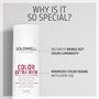 Goldwell Dualsenses Colour Extra Rich Brilliance Shampoo 250mlAlternative Image1