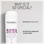 Goldwell Dualsenses Blondes & Highlights Anti-Yellow Conditioner 200mlAlternative Image3