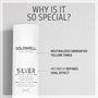 Goldwell Dualsenses Silver Shampoo 250mlAlternative Image1