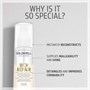 Goldwell Dualsenses Rich Repair Restoring Serum Spray 150mlAlternative Image1