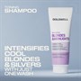 Goldwell Dualsenses Blondes & Highlights Toning Shampoo 250mlAlternative Image7