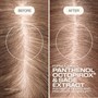 Goldwell Dualsenses Scalp Specialist Anti-Dandruff Shampoo 250mlAlternative Image5