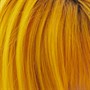Danger Jones Semi Permanent Colour 118ml - StarriderAlternative Image5