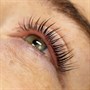 LashBase Korean Lash Lift KitAlternative Image1