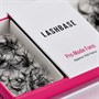 LashBase 6D Pro MadesAlternative Image1
