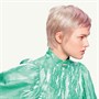 Schwarzkopf Igora Royal Highlifts 60ml 12-0 - Special Blonde NaturalAlternative Image7