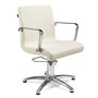REM Ariel Hydraulic Chair - Other ColoursAlternative Image1