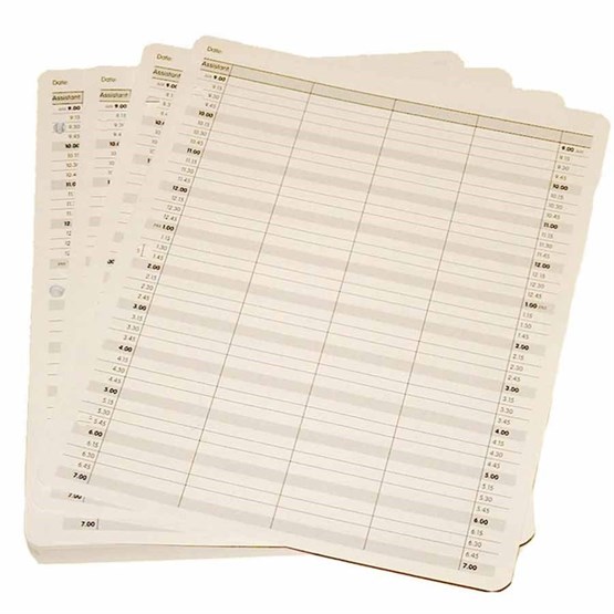 Loose Leaf Refills Pk100 - 12 columns