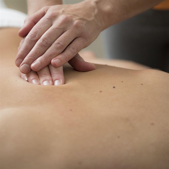 Manual Lymphatic Drainage Course