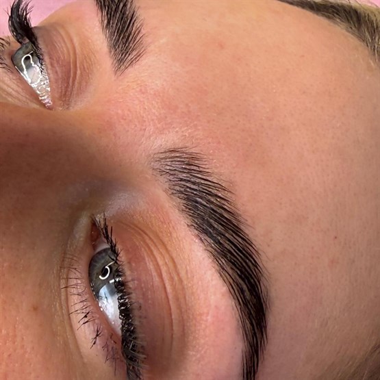 Salon System Brow Styling Course