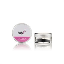Lash FX Individual Eyelash Extensions C Curl 13mm - Thick
