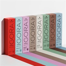 Power of Schwarzkopf Igora Online Course 11.00-12.00pm