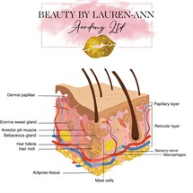Level 3 Award in Human Anatomy and Physiology