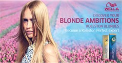 blonde-ambitions-koleston-blondes-intro-new 2 .jpg