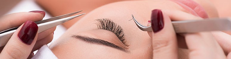 Eyelash and Eyebrow