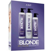 A.S.P System Blonde Anti Yellow Back Bar Kit