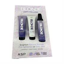 A.S.P System Blonde Anti Yellow Kit